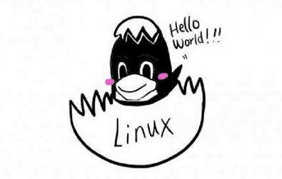 Linux 服务器如何设置文件和文件夹的读写权限